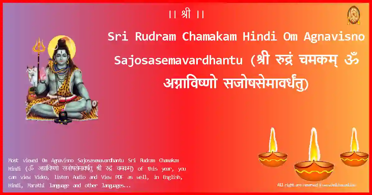 Sri Rudram Chamakam Hindi-Om Agnavisno Sajosasemavardhantu Lyrics in Hindi